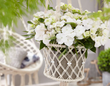 Hydrangea Runaway Bride